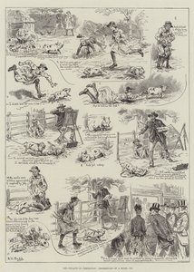 The Penalty of Perfection, Experiences of a Model Pig